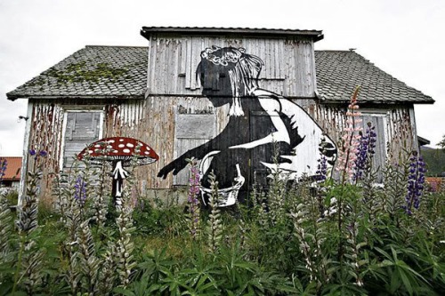 Alice on the Wall Alice on the Wall