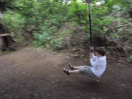 swinging