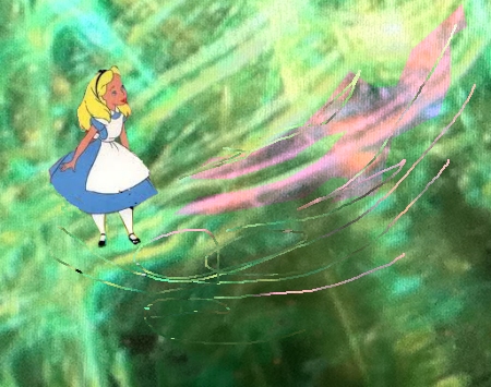Disoriented Disoriented