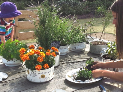 planting planting