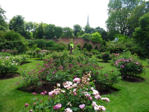 Garden Garden